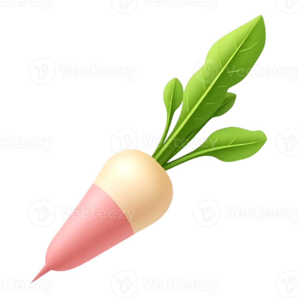 Realistic 3D Cartoon Turnip with Green Leaves png