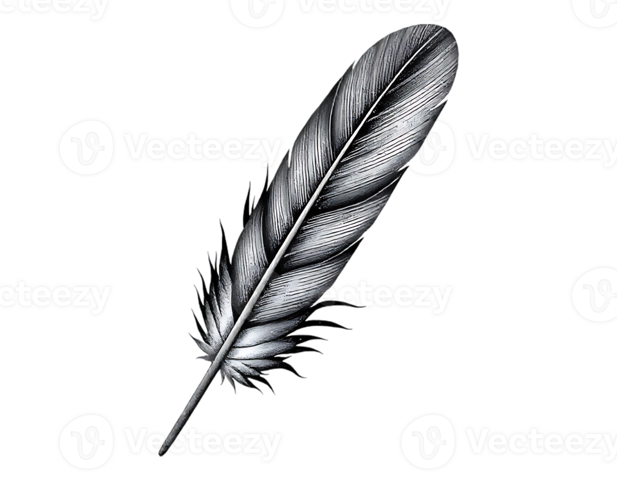 Detailed monochrome feather illustration with transparent background png
