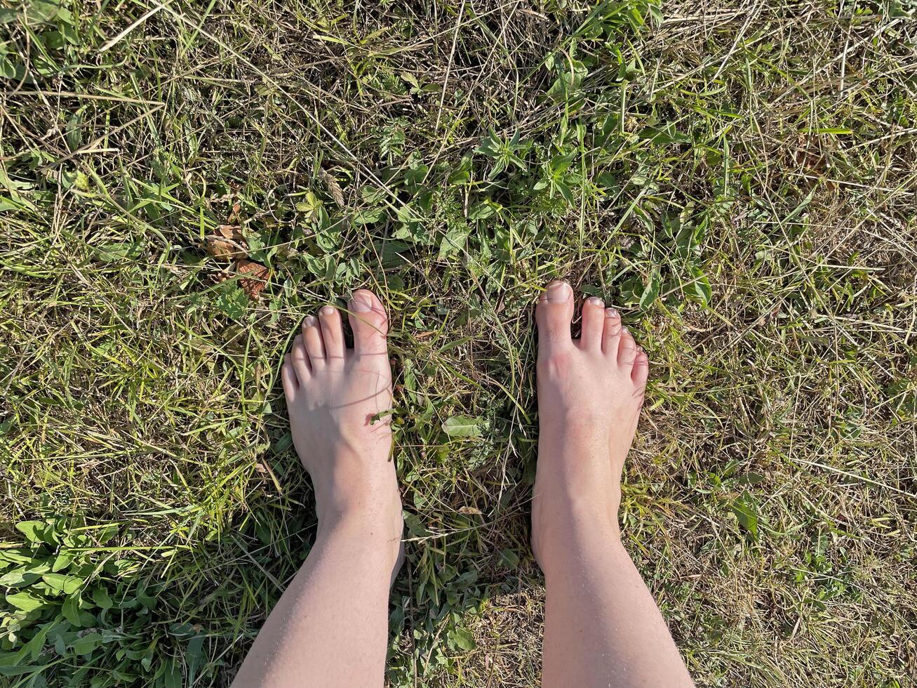 Bare feet on the grass photo