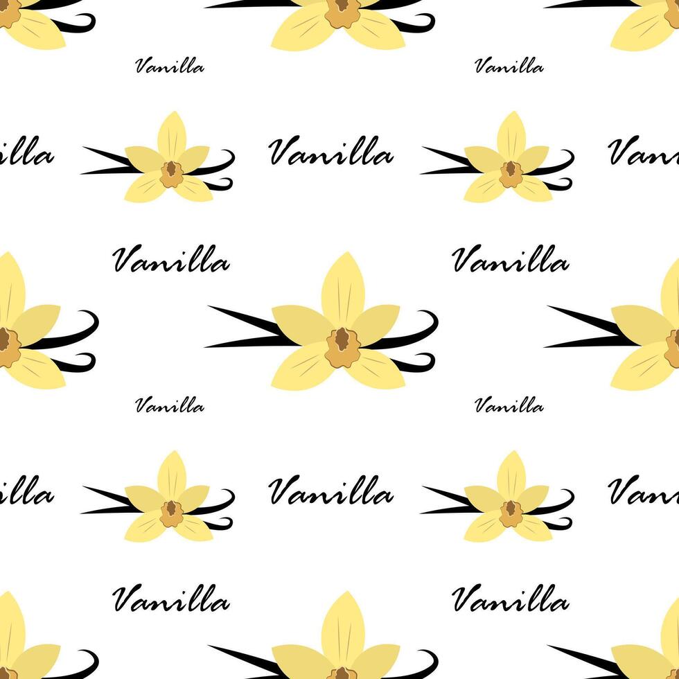 Seamless pattern with vanilla on a white background vector