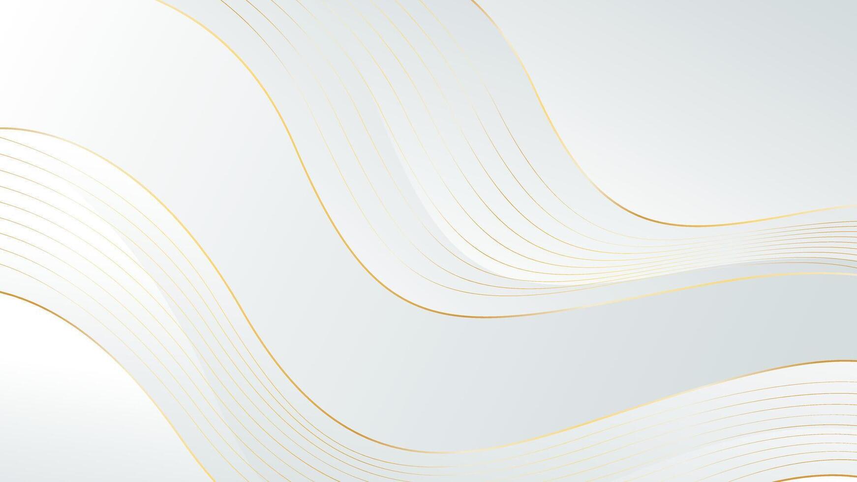 Elegant white-gray luxury background . Abstract wave dynamic wallpaper with gold lines vector
