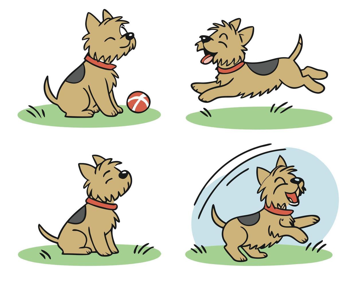 collection set of yorkshire terrier in various poses vector