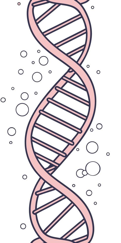 A pink DNA helix with white bubbles on a white background, scientific illustration, simple design, educational material, molecular biology conce vector