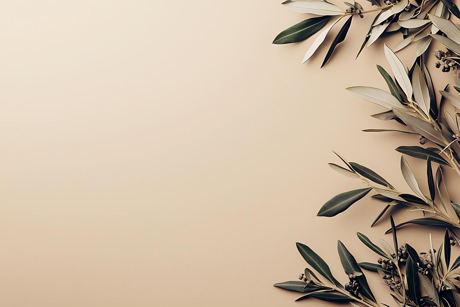 Olive Branch Border on Beige Background Elegant Nature Design. photo
