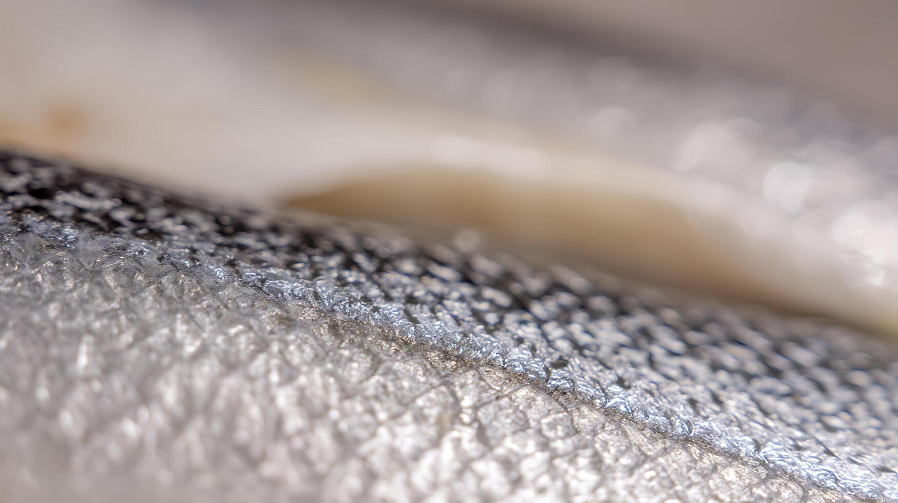 Close up textured scales of a fresh raw fish, a culinary delight. photo
