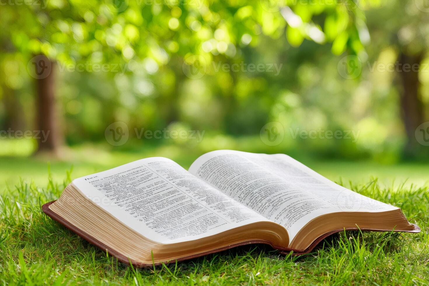 Open holy bible resting on green grass in peaceful park setting photo