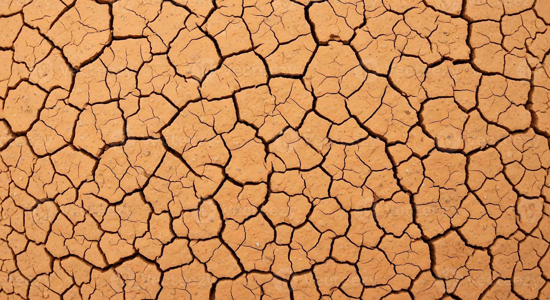 A close up of a cracked dry brown surface photo