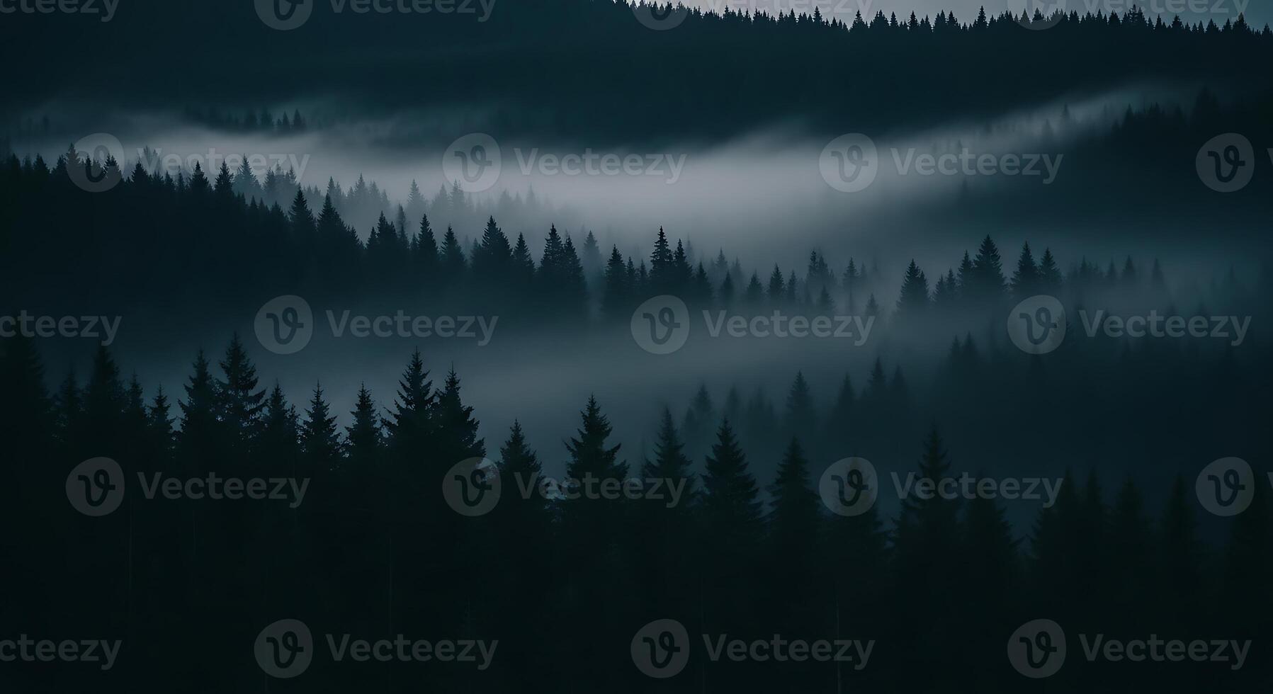 A dark forest with trees and fog photo