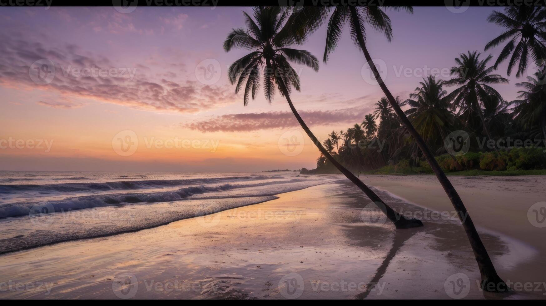 Idyllic tropical beach at sunset with palm trees and calm ocean waves photo