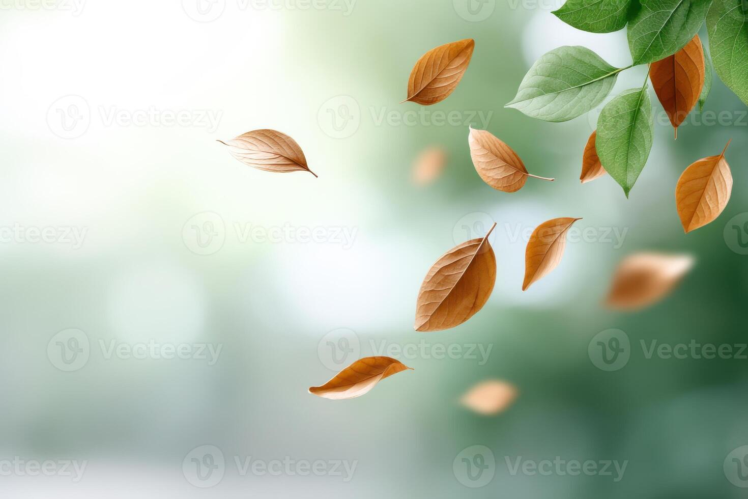 Vibrant leaves floating gracefully in a serene atmosphere surrounded by a soft blurred background photo