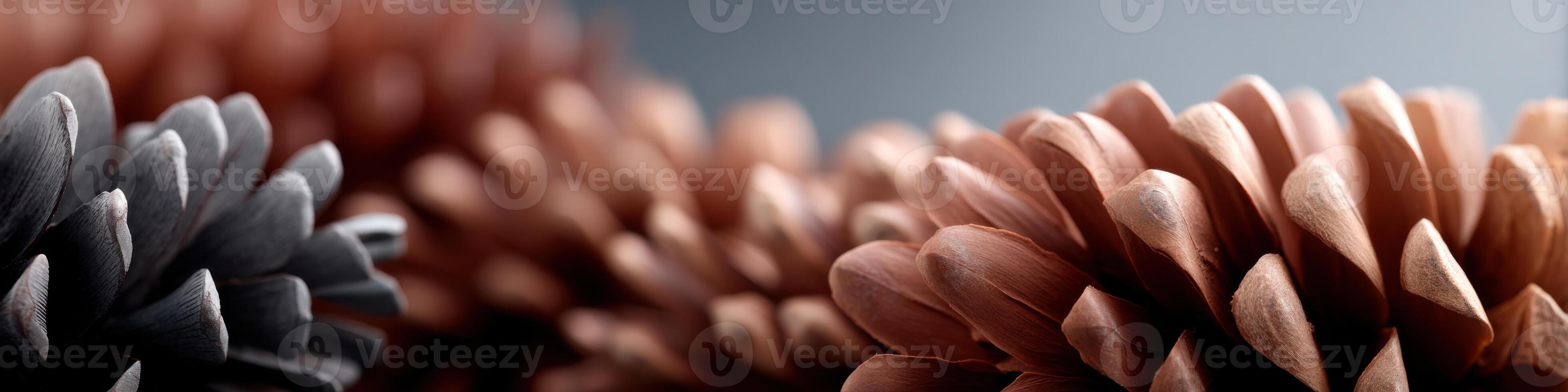 Bold and imaginative pine cone patterns in vivid colors for creative design projects photo