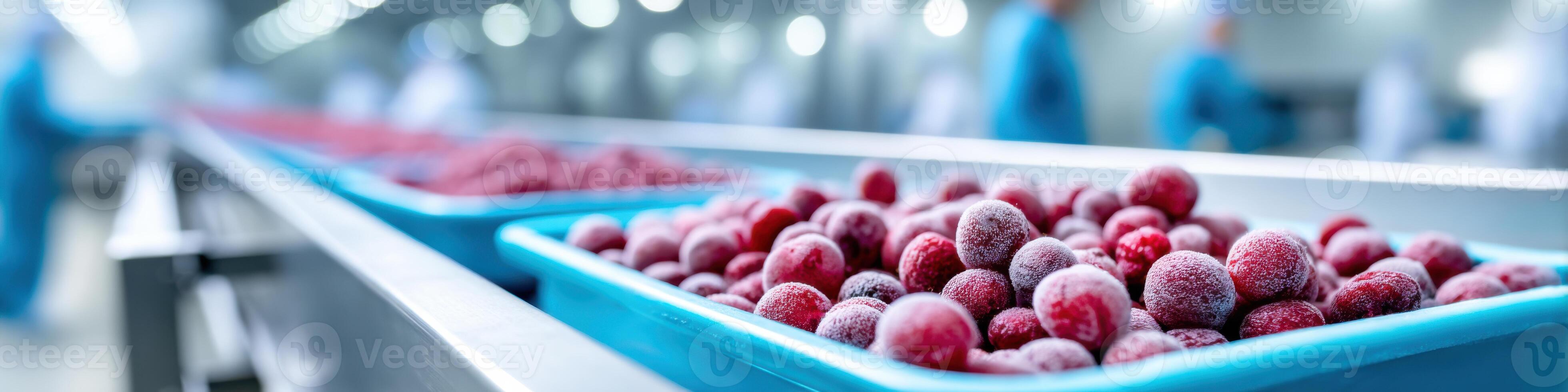 Dynamic frozen berry production showcasing packaging in a bright factory environment photo
