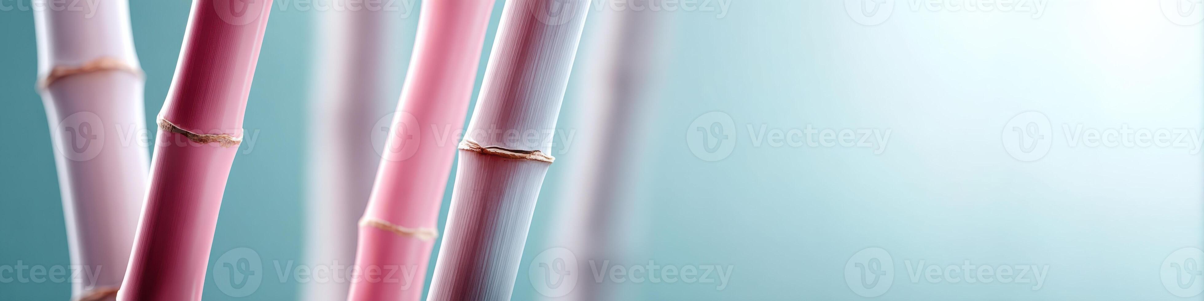 Playful arrangement of bamboo trees with colorful background and ample copy space for text photo