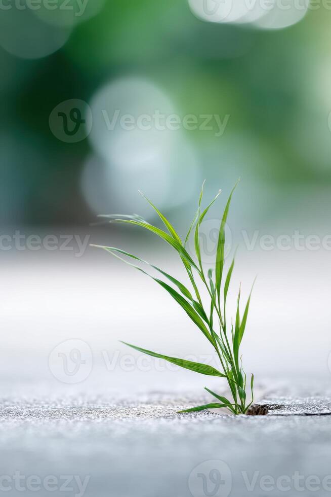 Resilient grass thriving through the surface in a bright and vibrant environment photo