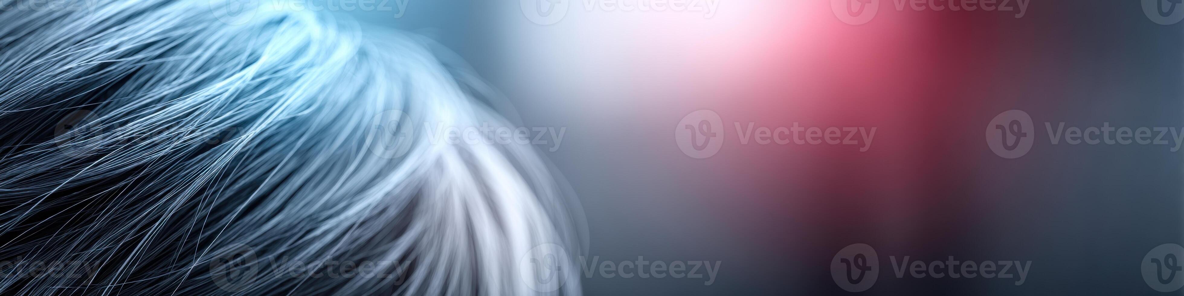 Close-up view of irritated scalp with relief solutions highlighted in vibrant colors for effective treatment options photo