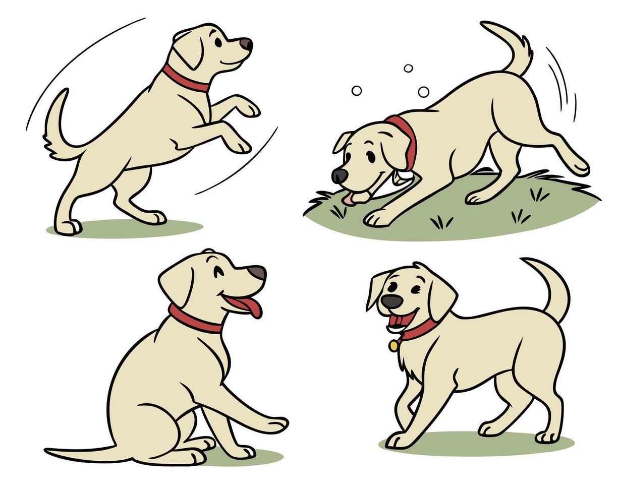 Collection Set of Labrador Retriever in various poses vector