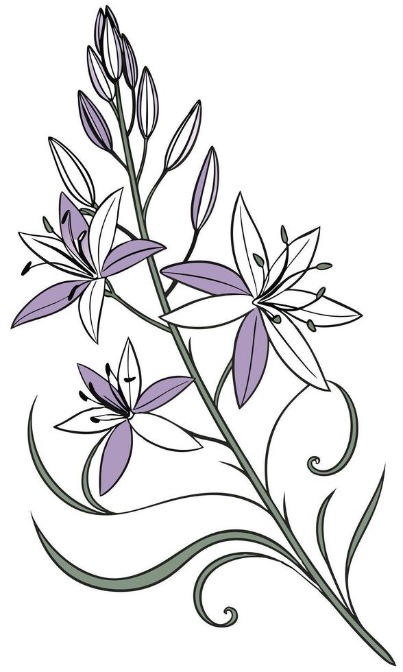 Close-up of the Camassia Flower arranged beautifully and decorated with vines vector