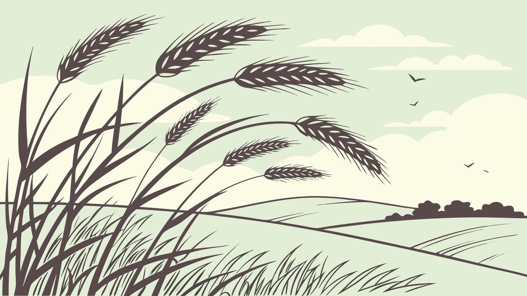 Wheat field with a blue sky and some clouds, the wheat is brown and the sky is light blue, with some hills in the background vector