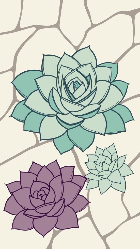 Succulent Rosettes - Geometric succulent arrangements in teal and lavender, natural stone texture vector