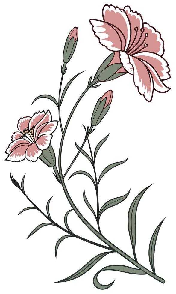 Close-up of the Dianthus Flower arranged beautifully and decorated with vines vector