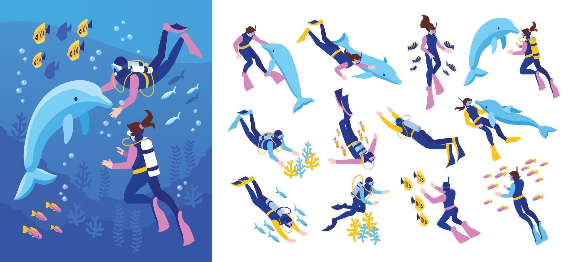 Diving illustrations with divers and dolphins vector