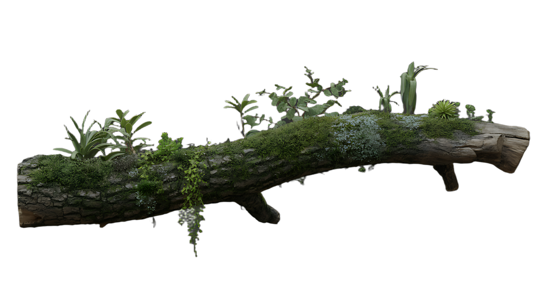 A moss covered log with plants on it png
