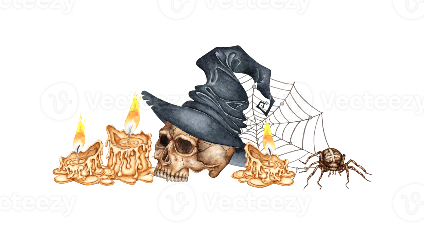 Human skull in witch hat, candles, dried flowers, cobweb and spider. Watercolor illustration isolated from background. Creepy bones for Halloween, Dia de los Muertos, spooky decor, scary poster png