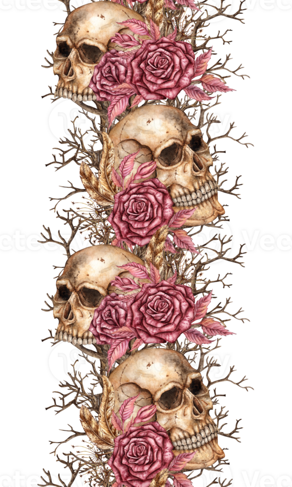 Human skull with dark red roses, dried flowers, feathers and branches watercolor illustration. Bones gothic style. Day Dead, Halloween, Dia de los muertos. Isolated. Pattern vertical, border, ribbon. png