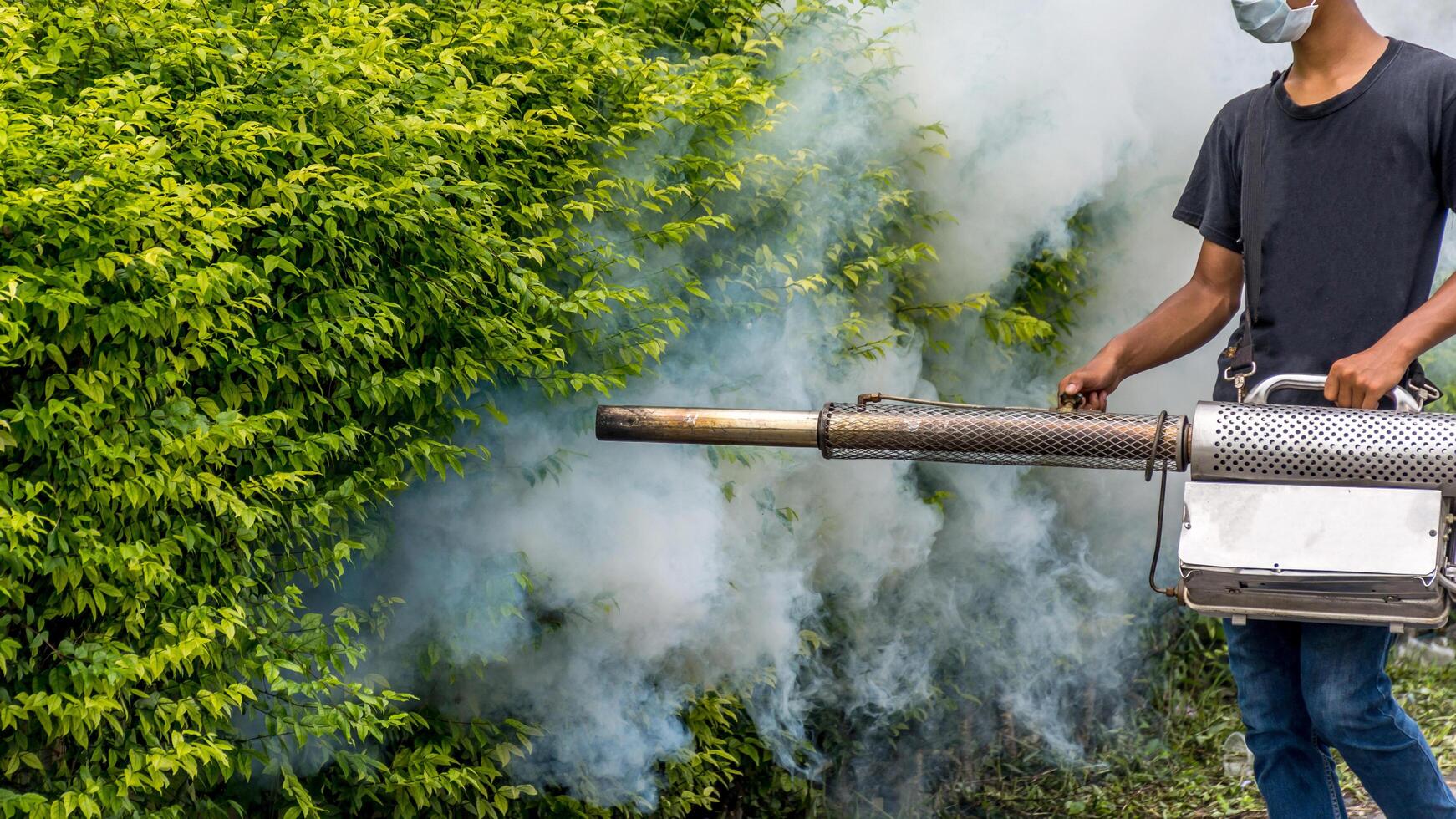 A man with a mask and a backpack spraying a bush with smoke photo