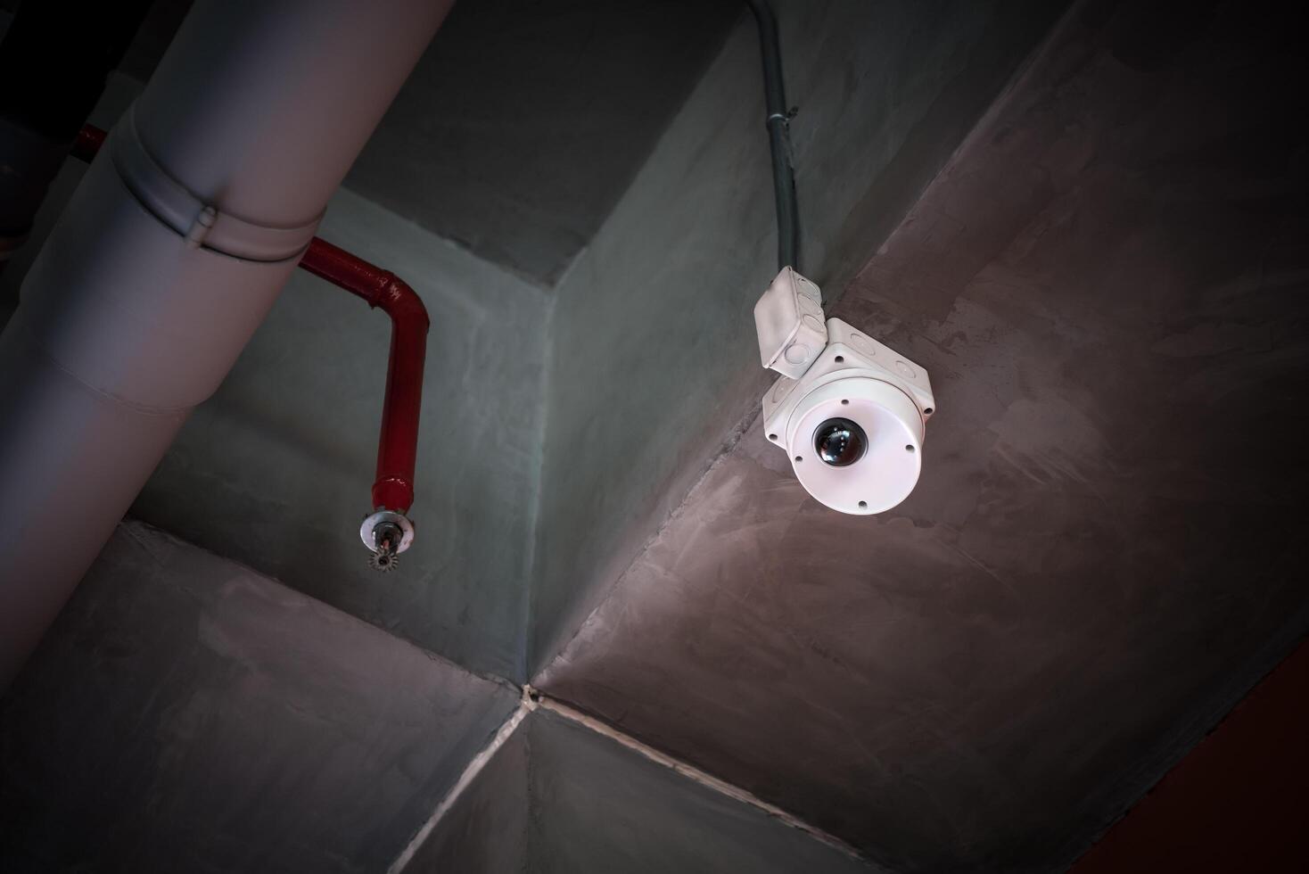 A security camera is mounted on the ceiling of a building photo
