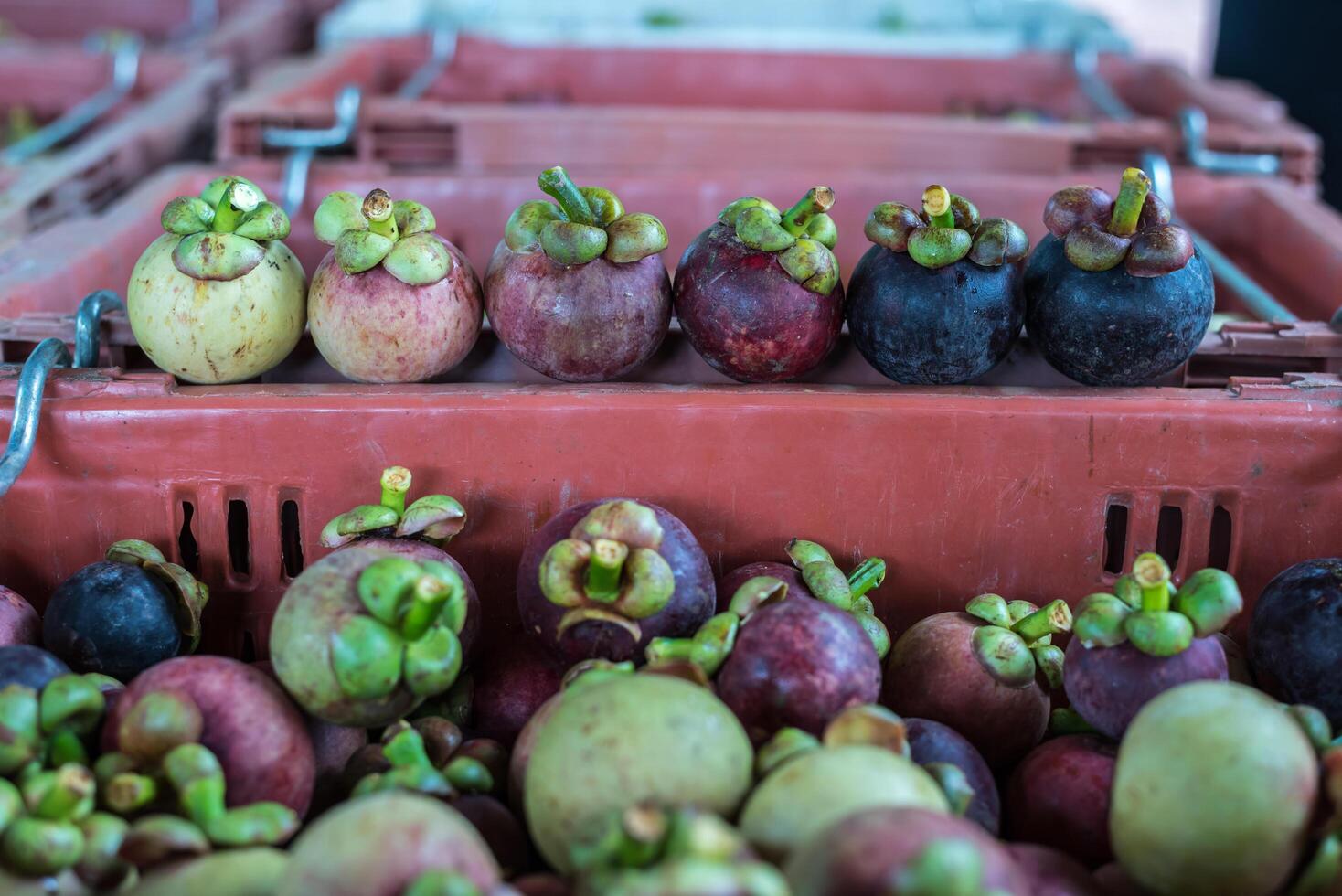 A crate full of fruit sitting on a table photo