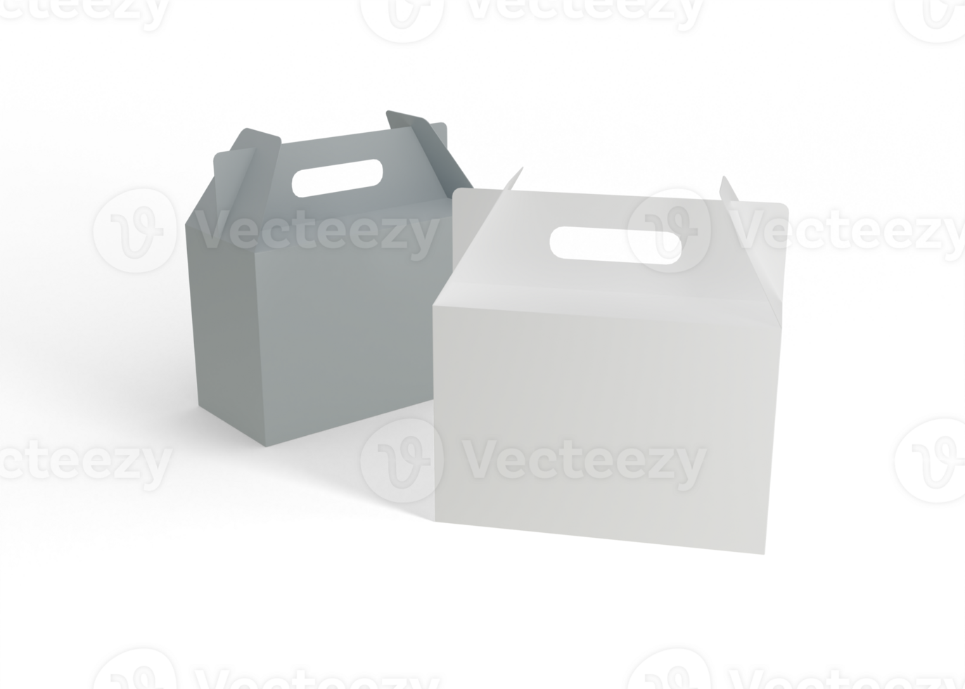 Takeout Food Box Branding png