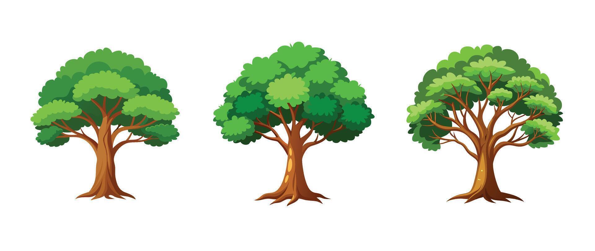 Three different types of trees on a white background vector