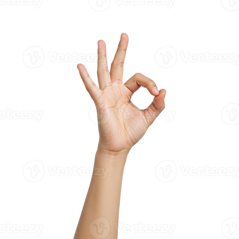 A human hand making the perfect ok gesture symbolizing agreement and excellence png