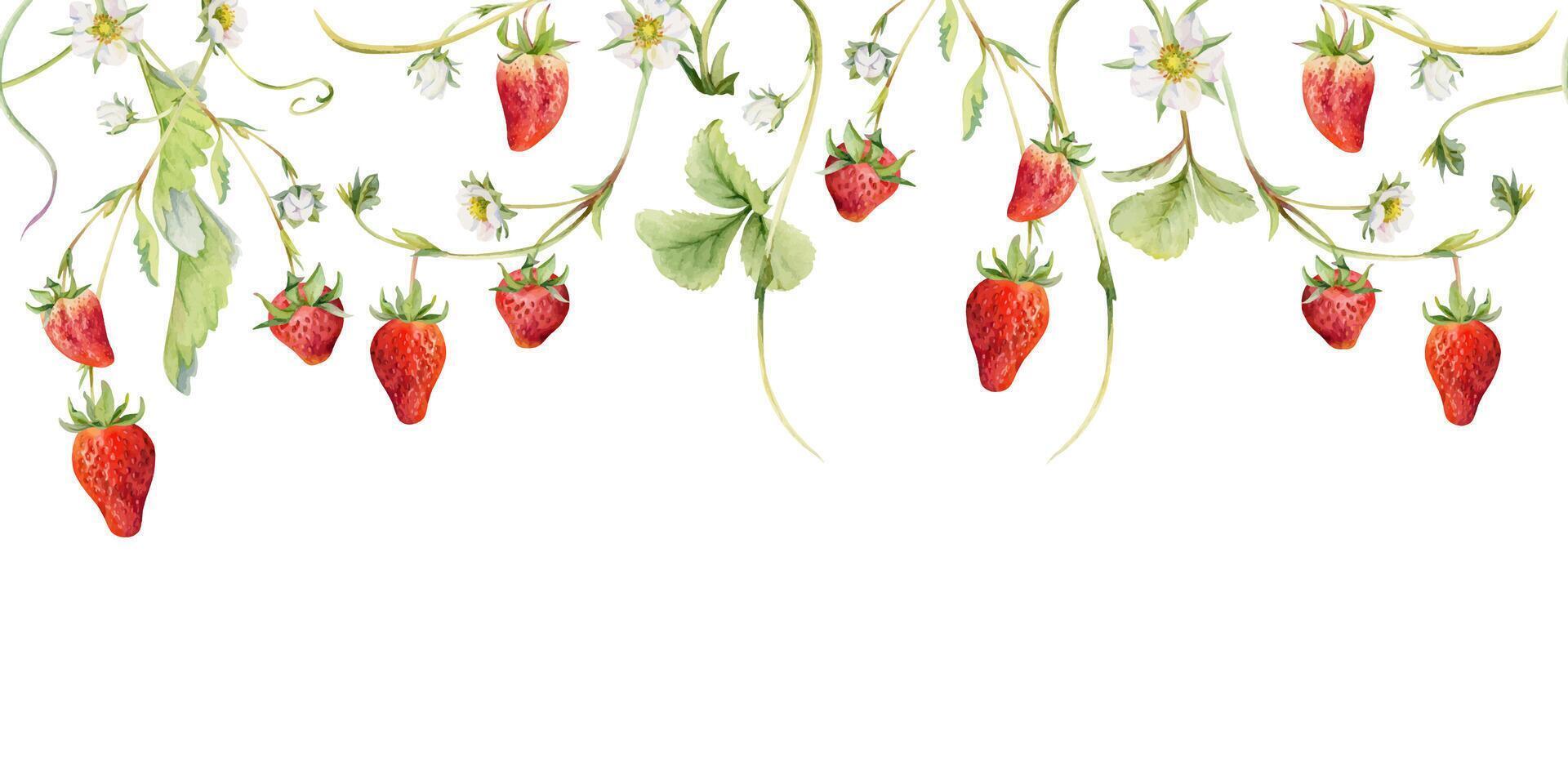 Watercolor strawberries and flowers arrangement vector