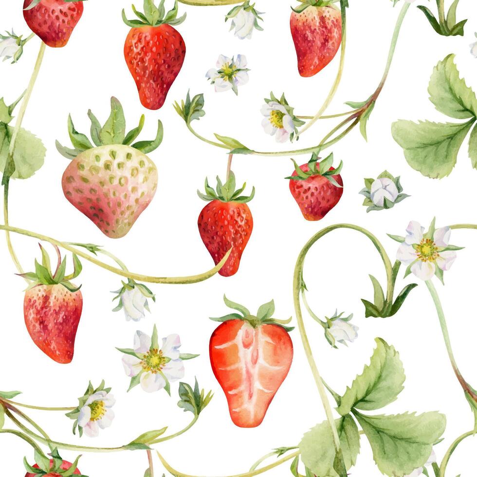 Watercolor strawberries and flowers pattern vector