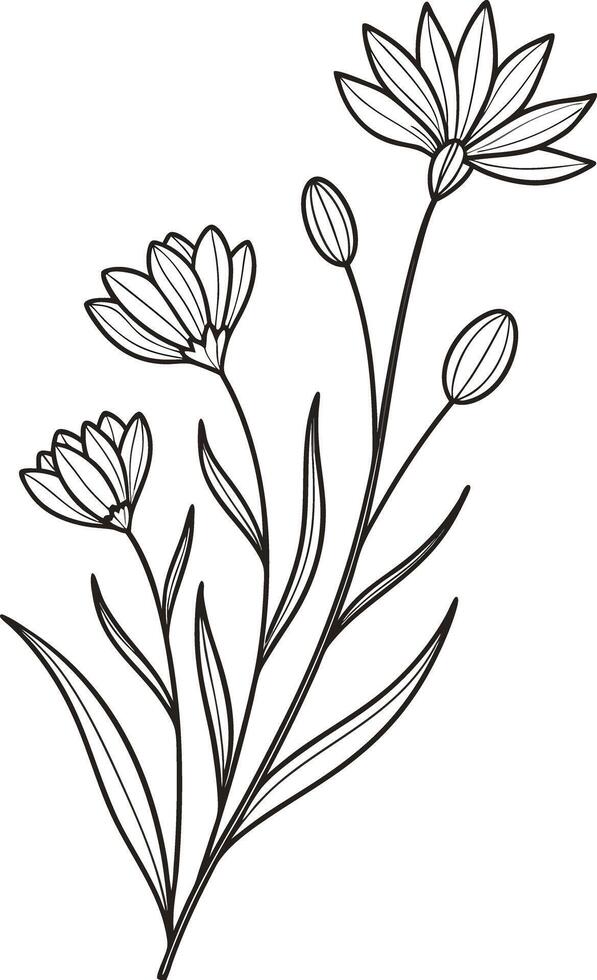 Black and white line art floral illustration flower vector