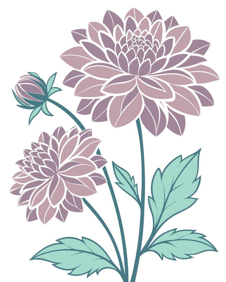 Two purple dahlias with green leaves and bud flower vector
