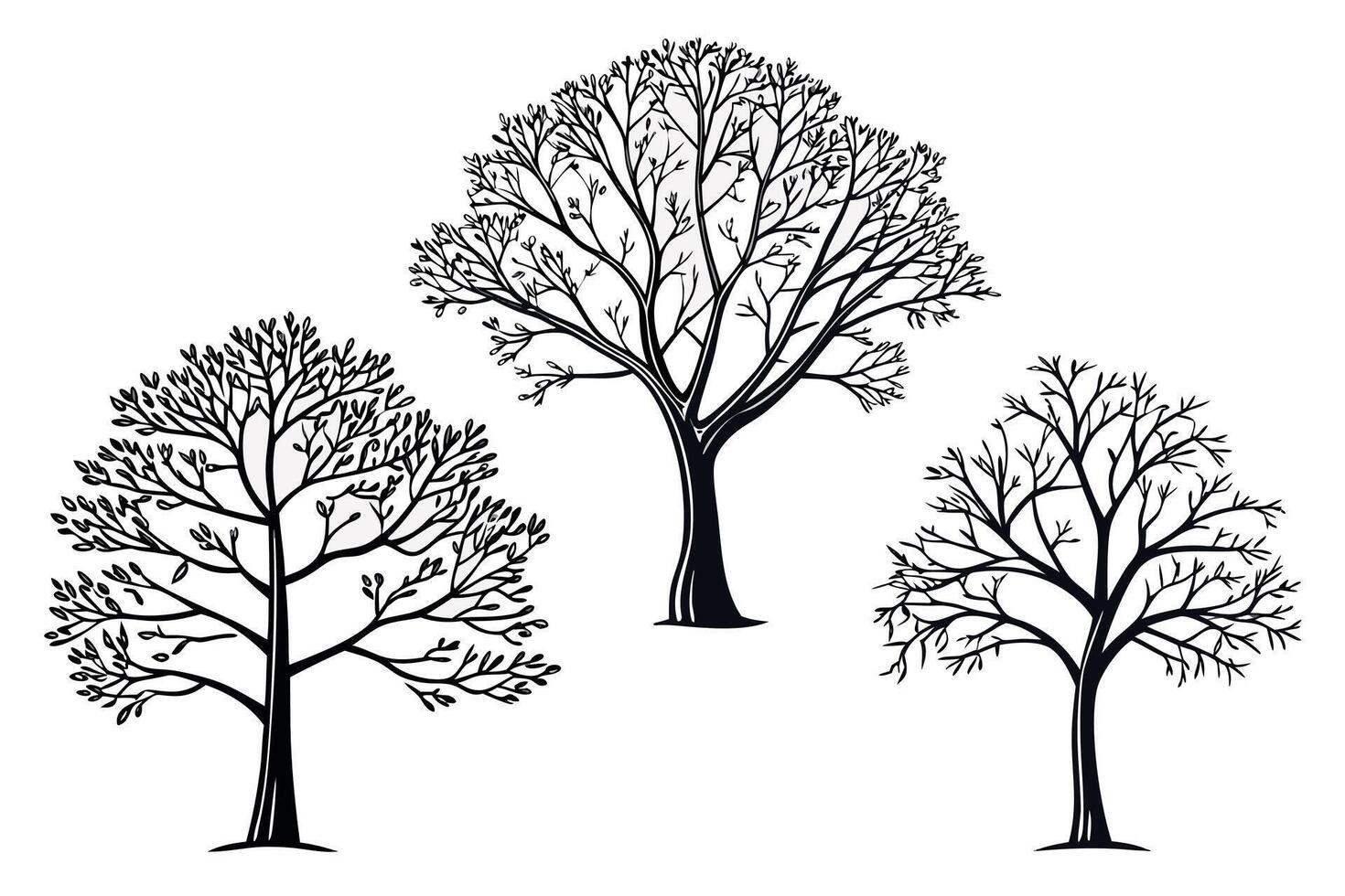 Three black tree outlines on white background trees vector