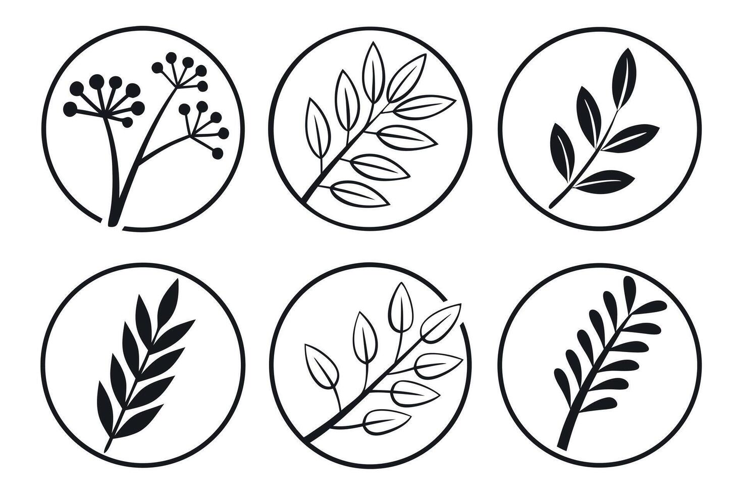 Six black botanical icons in circles on white background vector