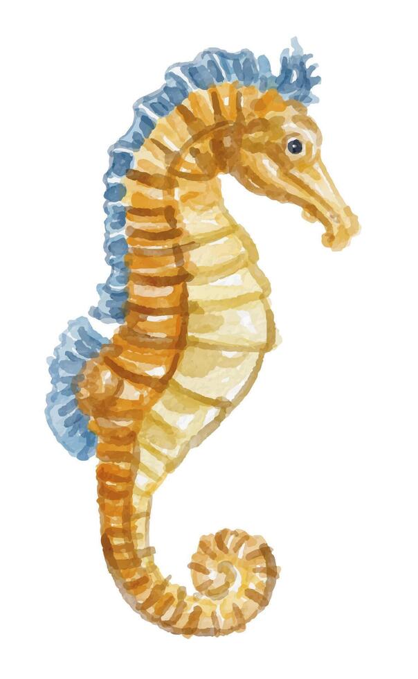 Watercolor seahorse illustration vector
