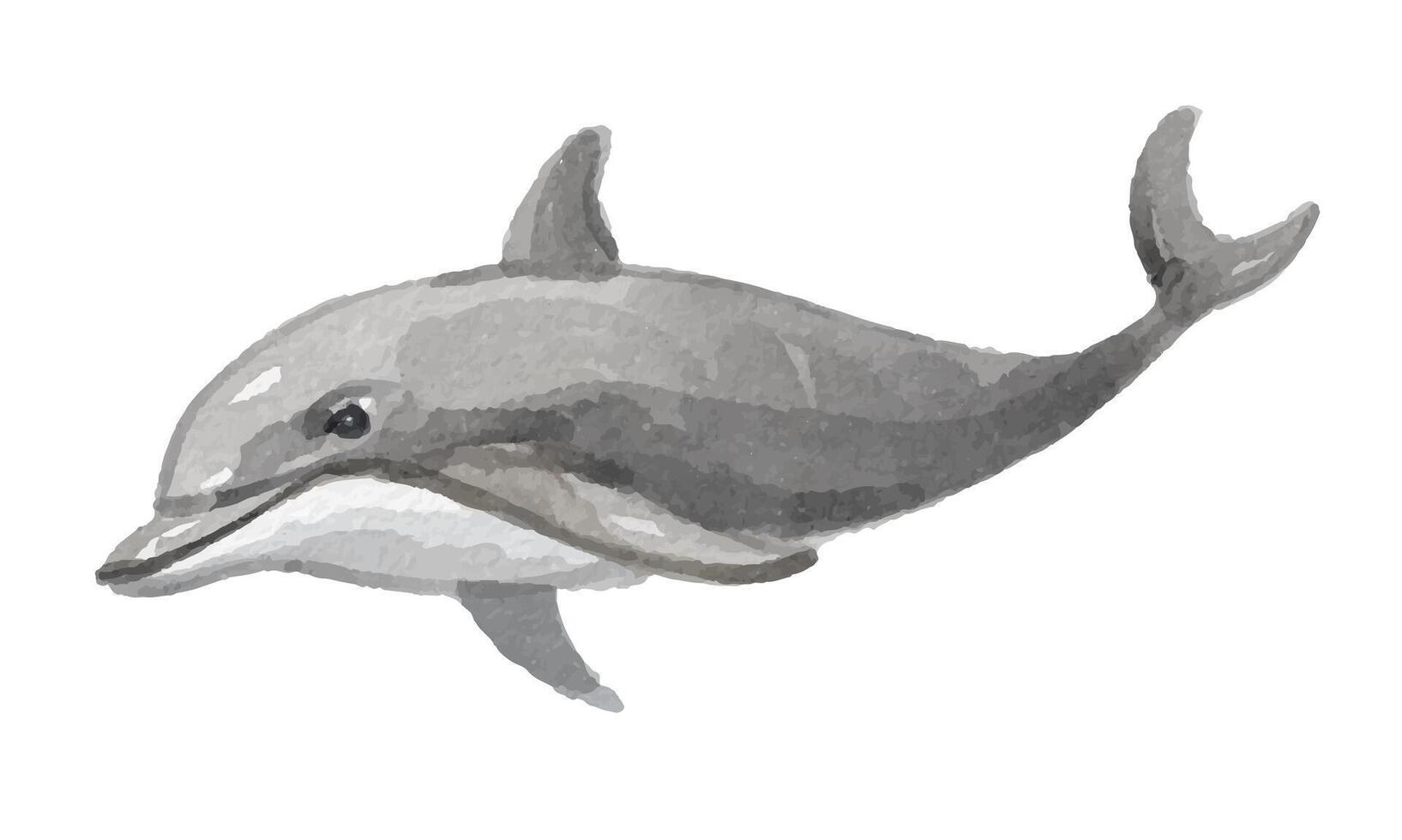 Watercolor dolphin swimming illustration vector