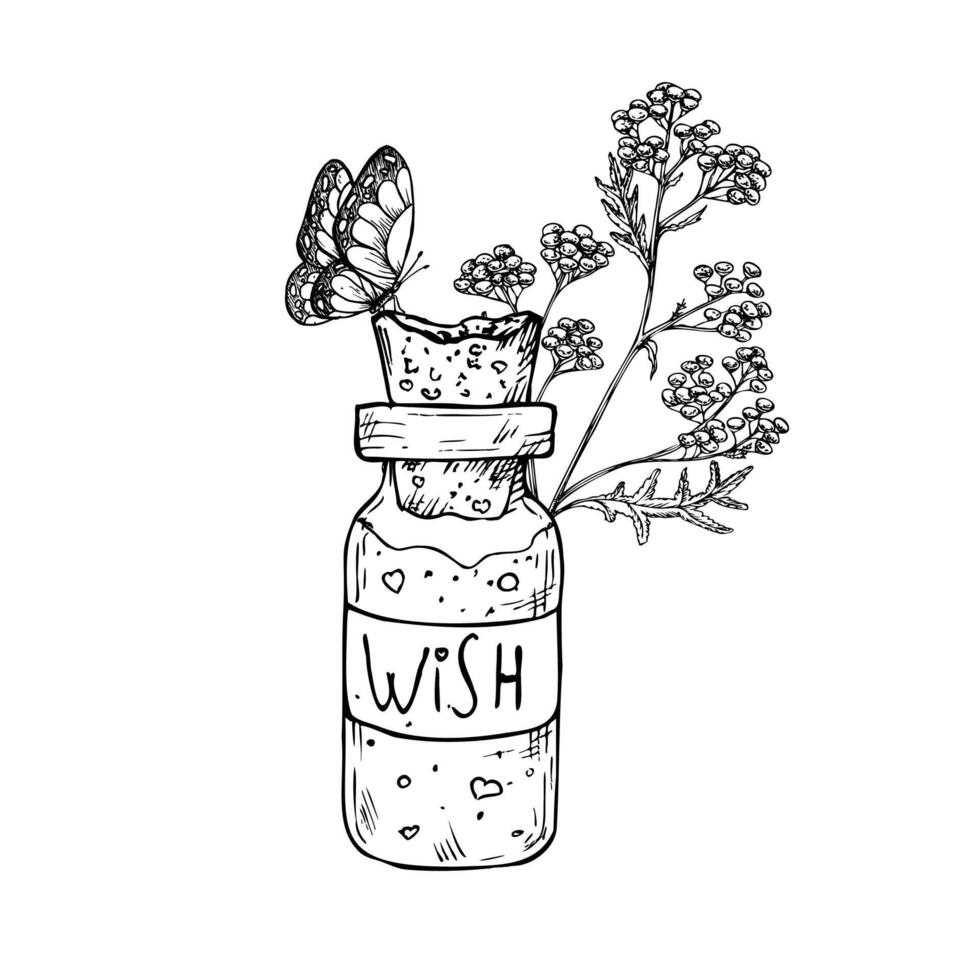 Glass potion bottle with cork and wish sign, tansy and butterfly. Hand painted linear wizard halloween illustration. Graphic magic monochrome sketch isolated on background. For designers vector