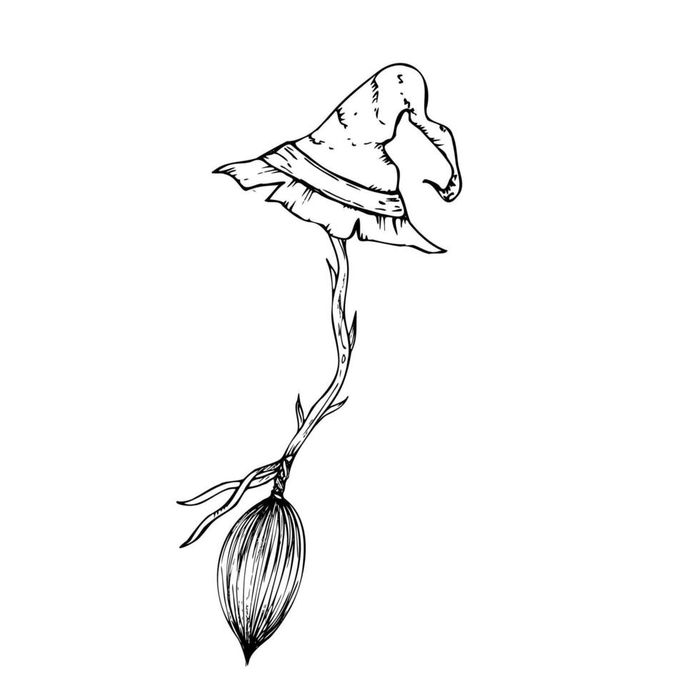 flying witch broom with hat. Hand painted linear wizard halloween illustration. Graphic monochrome sketch isolated on background. For designers, prints, logo, icon, menu, postcards, holiday vector