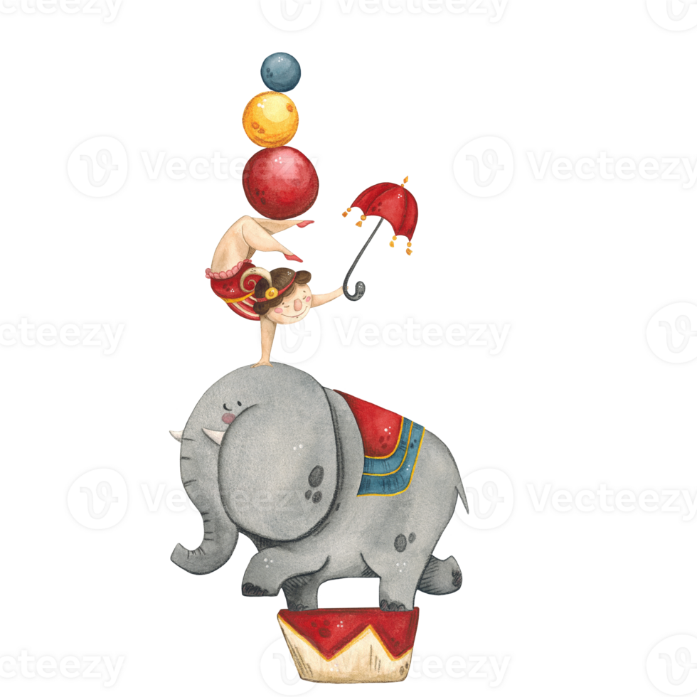 A gymnast with an umbrella in her hand and balls on her feet stands on the back of a circus elephant png