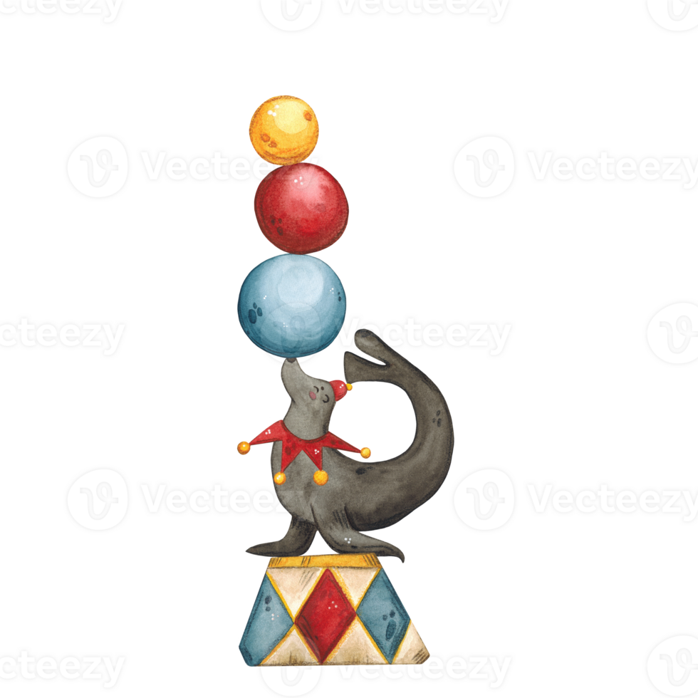 A circus seal stands on a stand with balls on its nose png