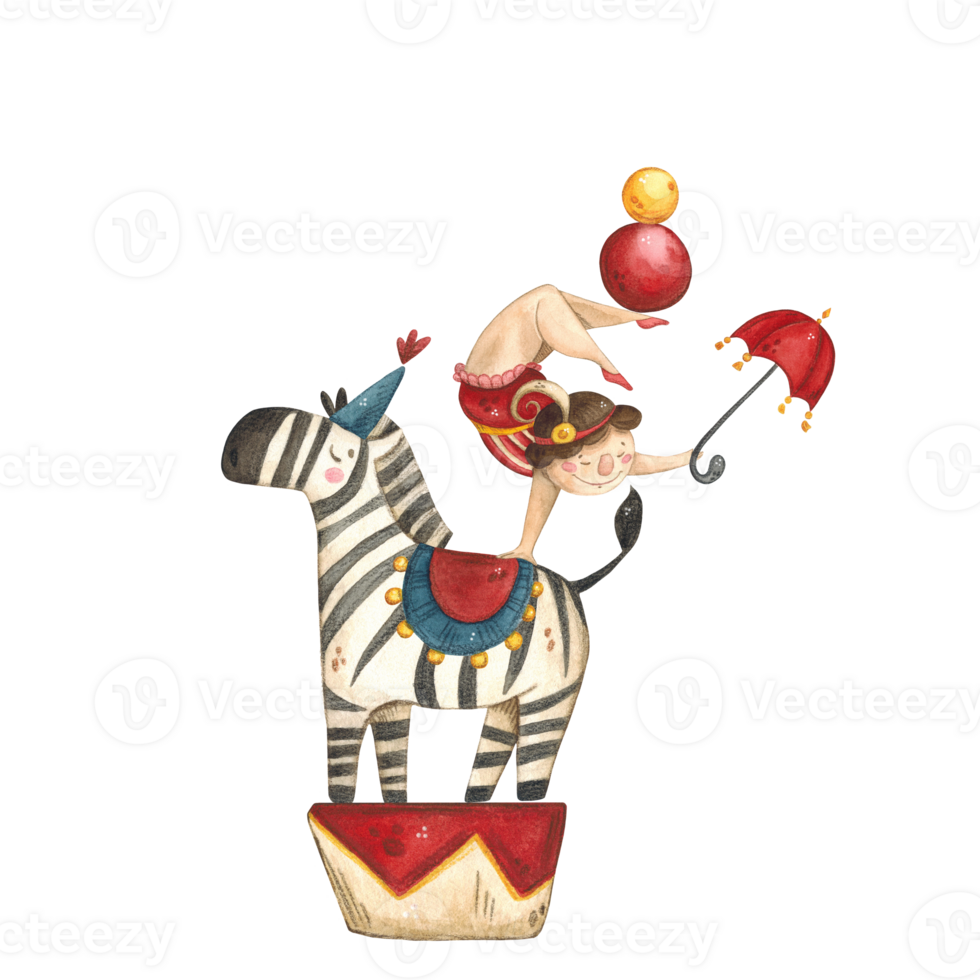 A gymnast with an umbrella in her hand and balls on her feet stands on the back of a circus zebra png