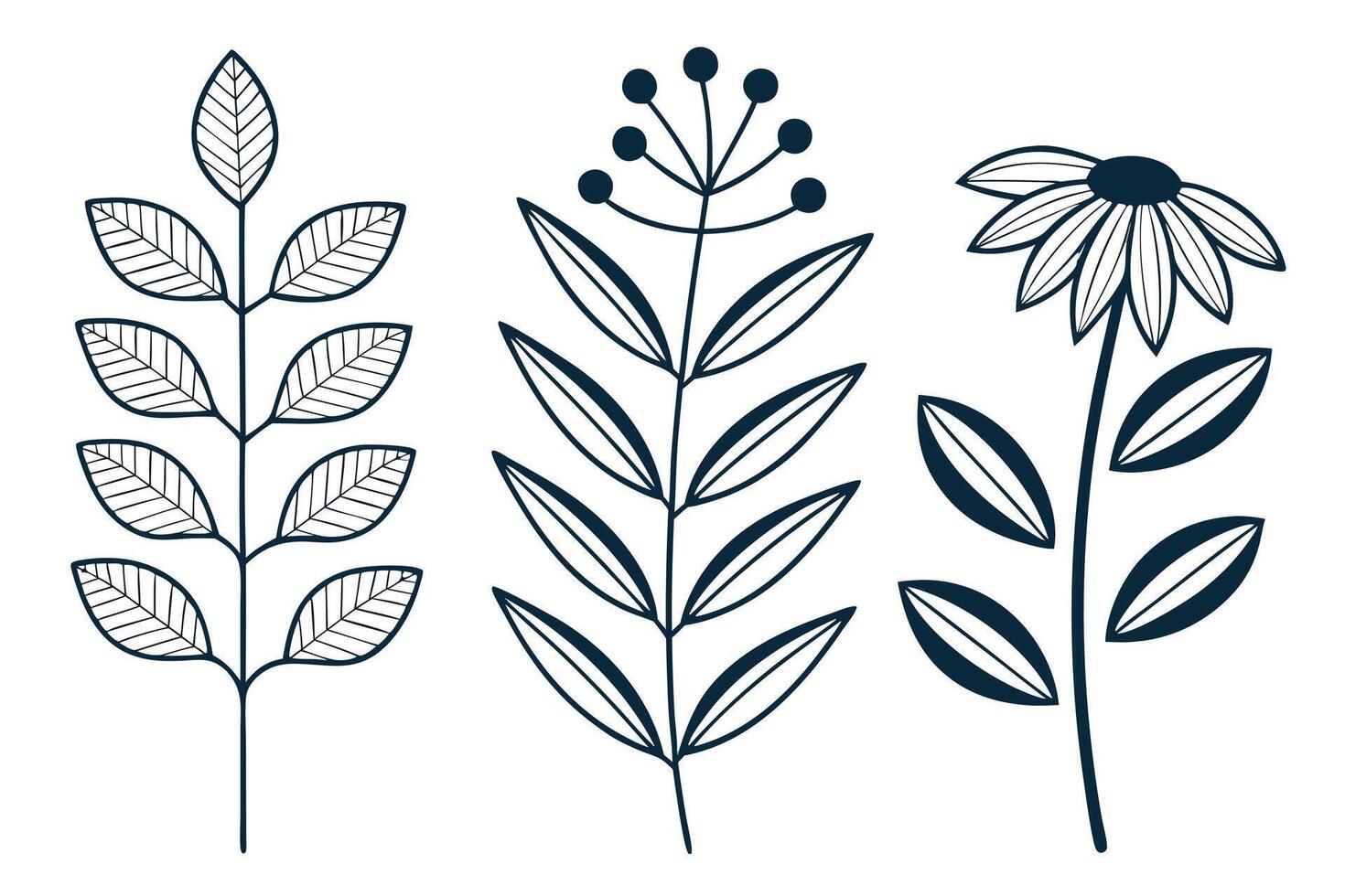 Three dark blue botanical illustrations on white background vector