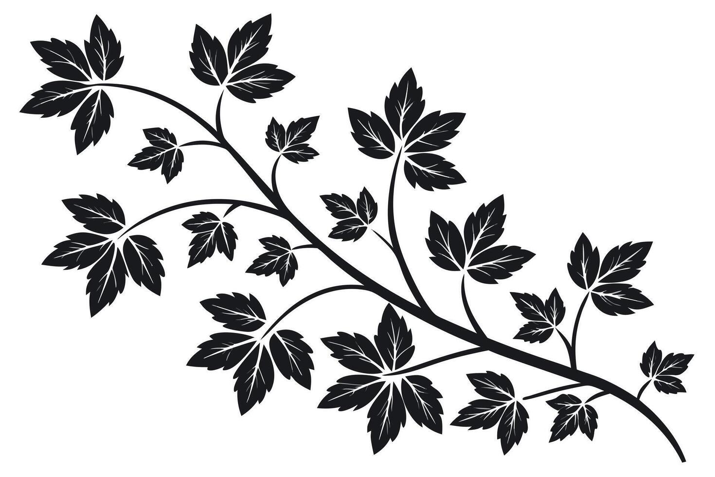 Black vine with leaves silhouette on white background vector