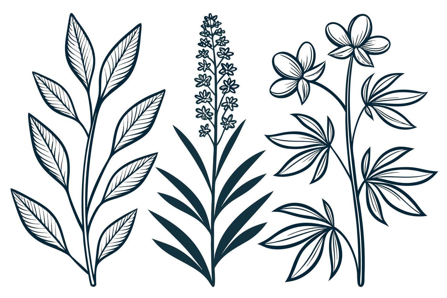 Dark blue line art floral elements on white background vector